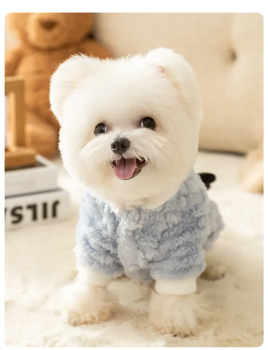 645194505464754176.jpg?x-oss-process=image/format,webp