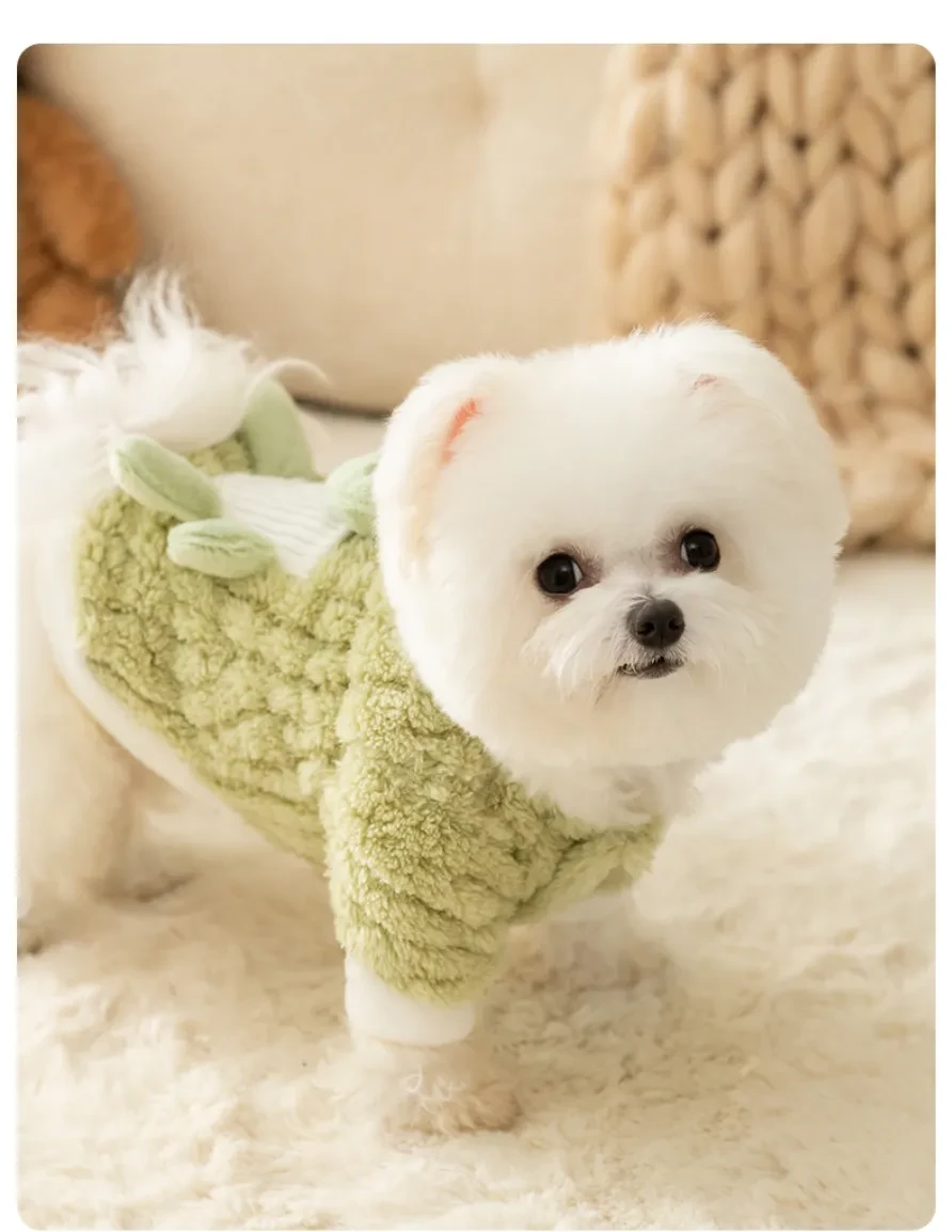 645194583621414912.jpg?x-oss-process=image/format,webp