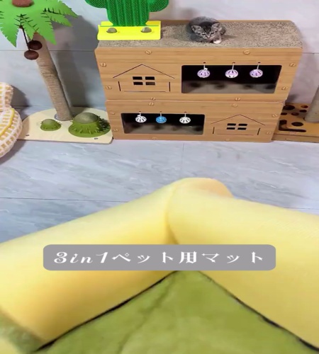 紹介動画