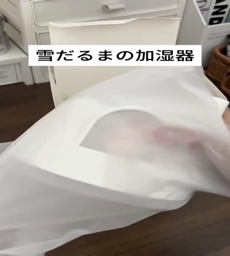 紹介動画