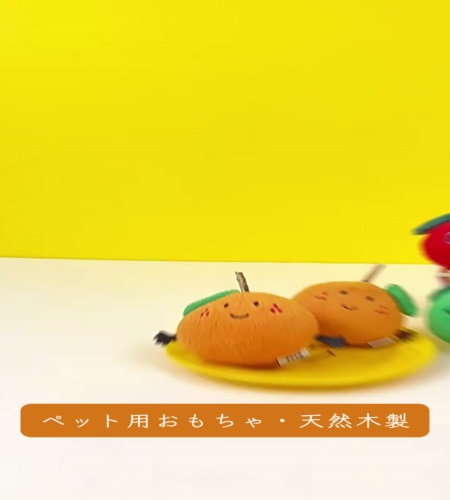 紹介動画
