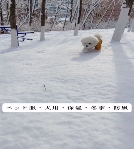 紹介動画