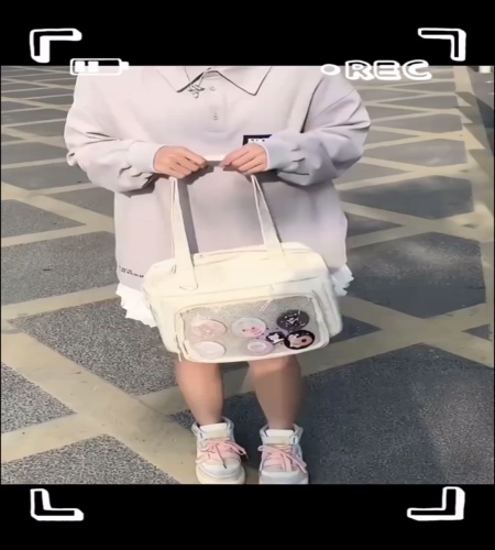 紹介動画