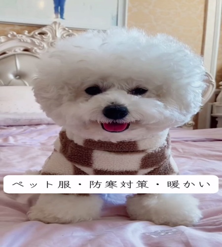 紹介動画
