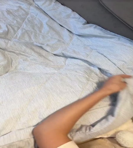 紹介動画