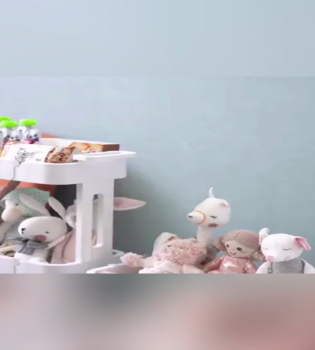 紹介動画