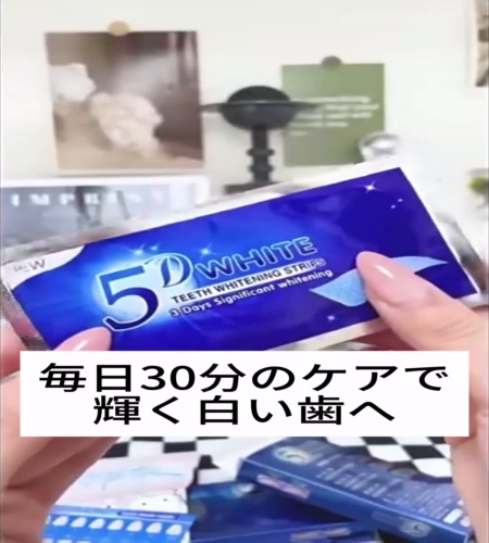 紹介動画