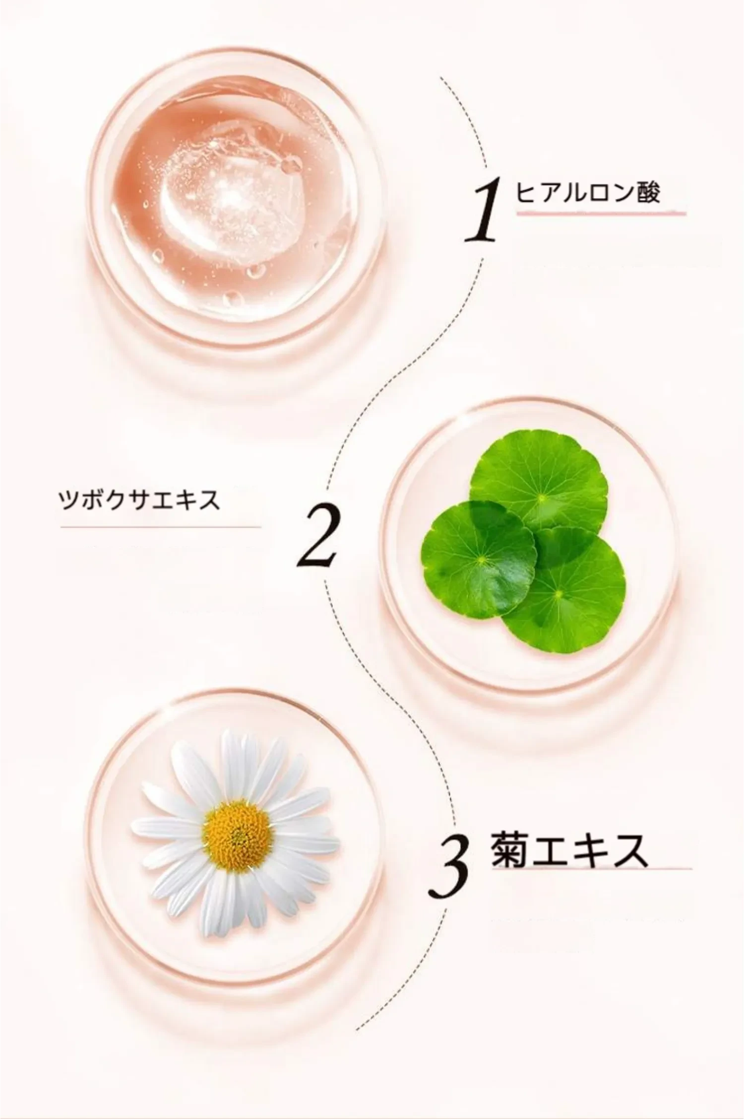 651802158496391168.png?x-oss-process=image/format,webp