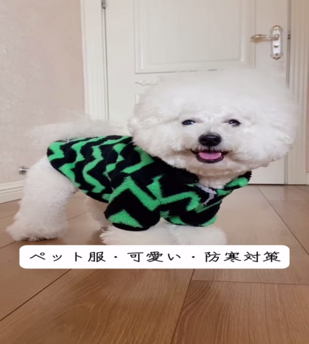 紹介動画