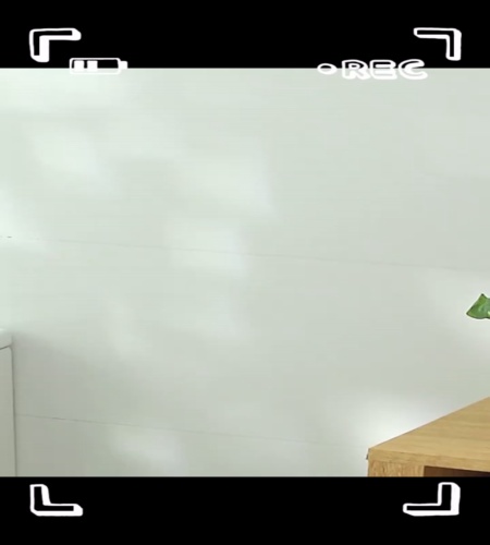 紹介動画