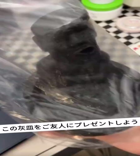 紹介動画