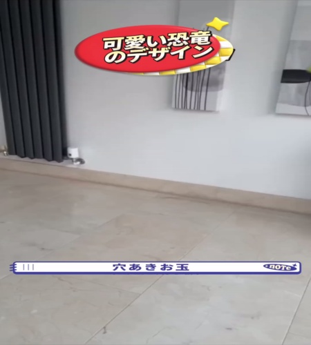 紹介動画