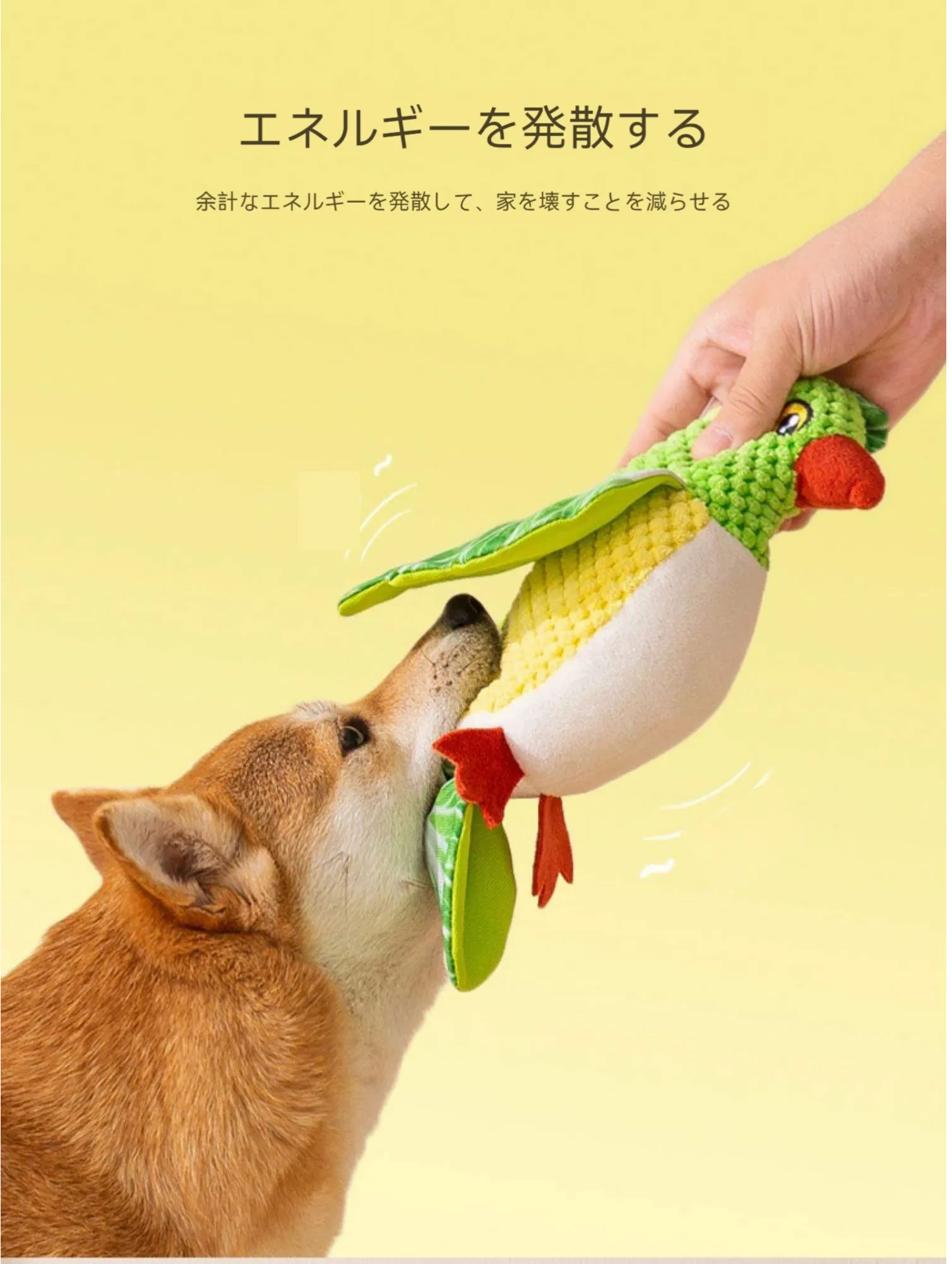 657625419293569024.png?x-oss-process=image/format,webp