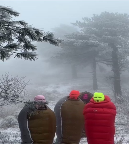 紹介動画