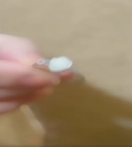 紹介動画
