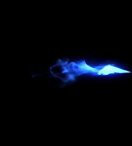 紹介動画
