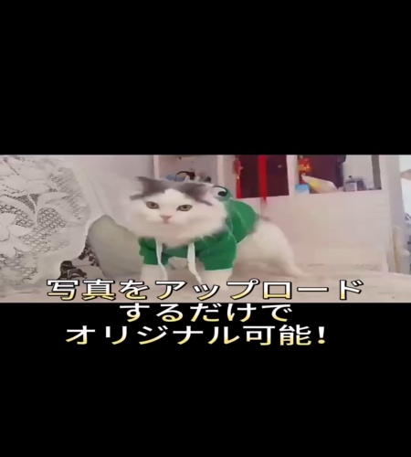紹介動画