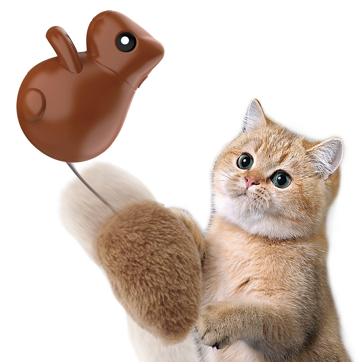 猫おもちゃ電動栗鼠｜しっぽ2本入り・吸盤付き・しっぽが自動伸縮・リスUSB充電式・自動おもちゃ・癒し・ストレス解消・一人遊び・留守番|undefined