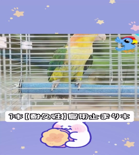 紹介動画