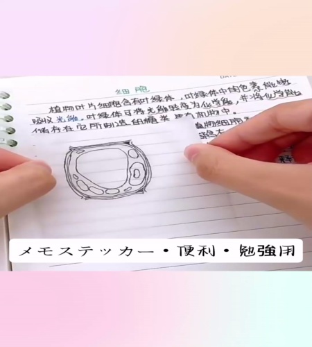 紹介動画