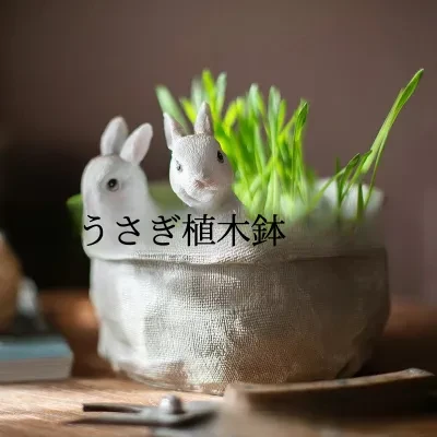 植木鉢 | 7sGood通販 植木鉢 | 7sGood通販