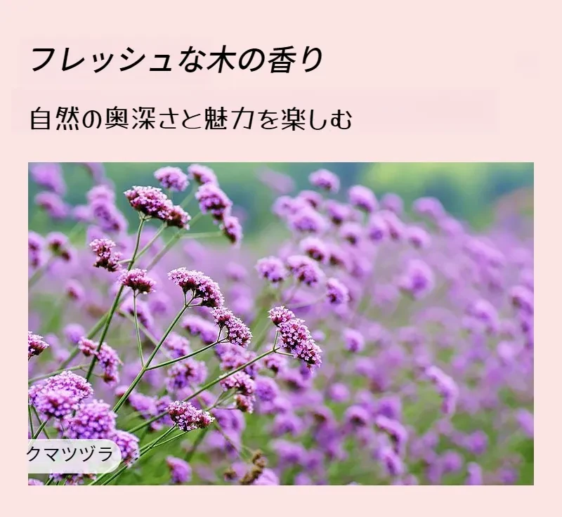 O1CN01jhs00c2EqAIH09bYJ_!!2210353598795-0-cib.jpg?x-oss-process=image/format,webp
