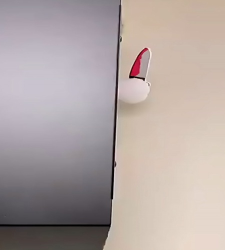 紹介動画