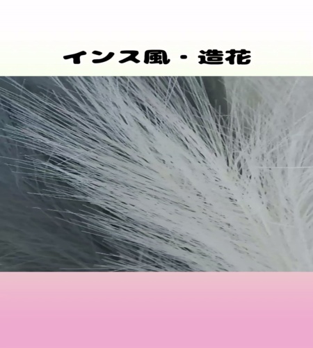 紹介動画