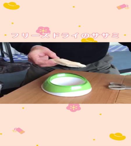 紹介動画