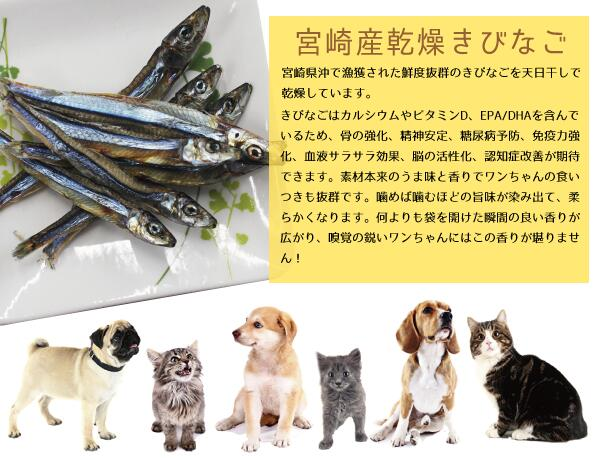 宮崎県産乾燥きびなご｜無添加・犬猫おやつ・100g・日本製|undefined