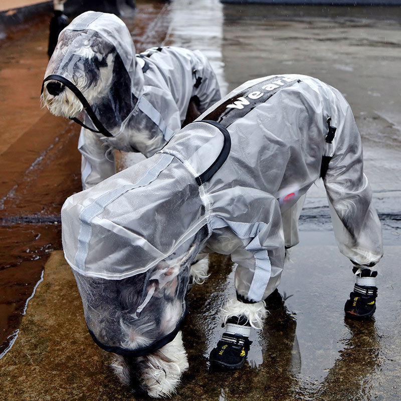 犬用レインコート｜四脚防水・透明反射・大中小型犬対応・ペット用雨具・かわいい|undefined