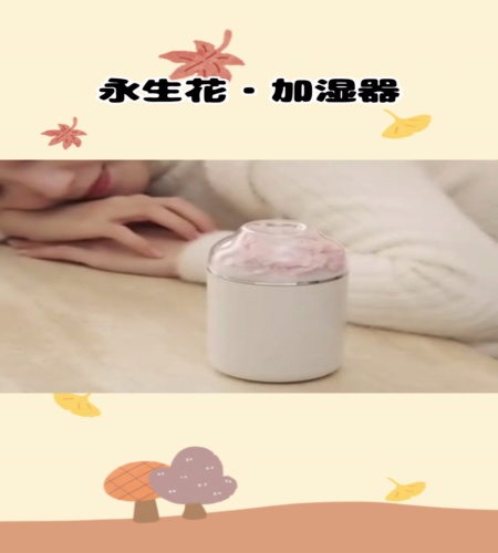 紹介動画