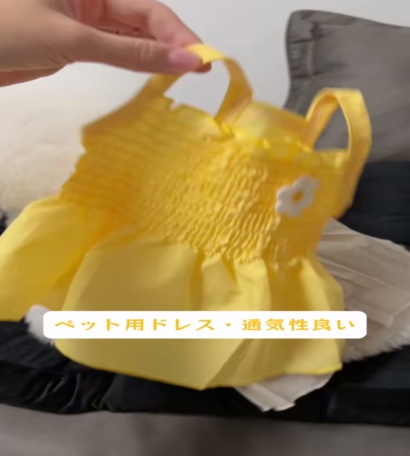 紹介動画