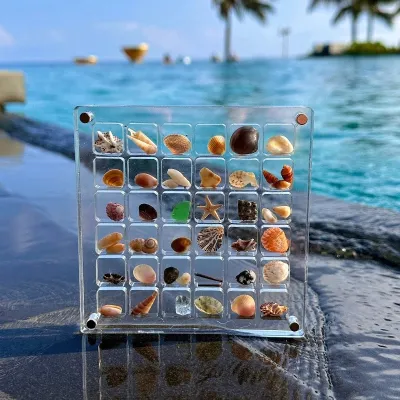 貝殻収集ボックス｜アクリル製・マグネット式・透明・置き物・インテリア・持ち運びが簡単！