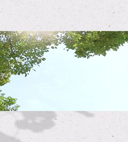 紹介動画