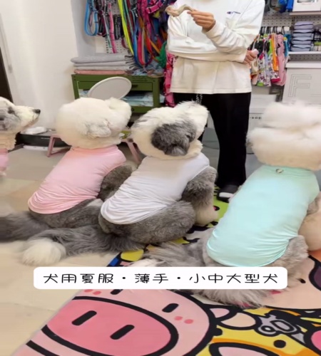 紹介動画