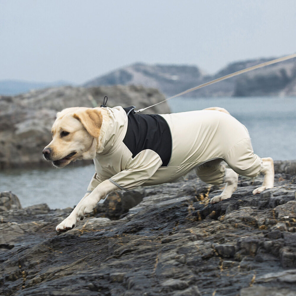 犬用レインコート｜ウィンドブレーカー・全身カバー・大型犬・防風・シンプルなデザイン|undefined