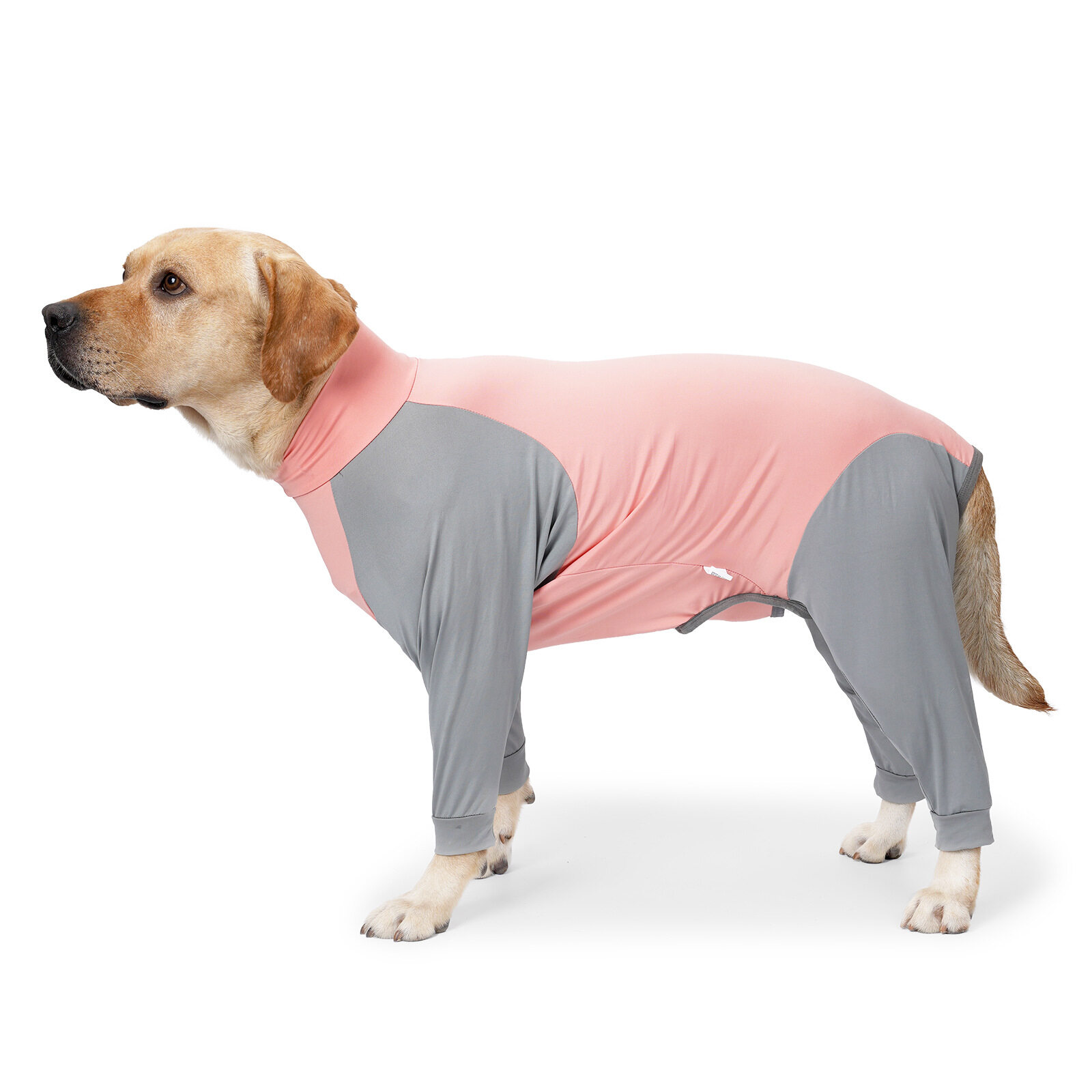 犬用ルームウェア｜大型犬・夏・弾力ある・通気性良い・毛落ち防止|undefined