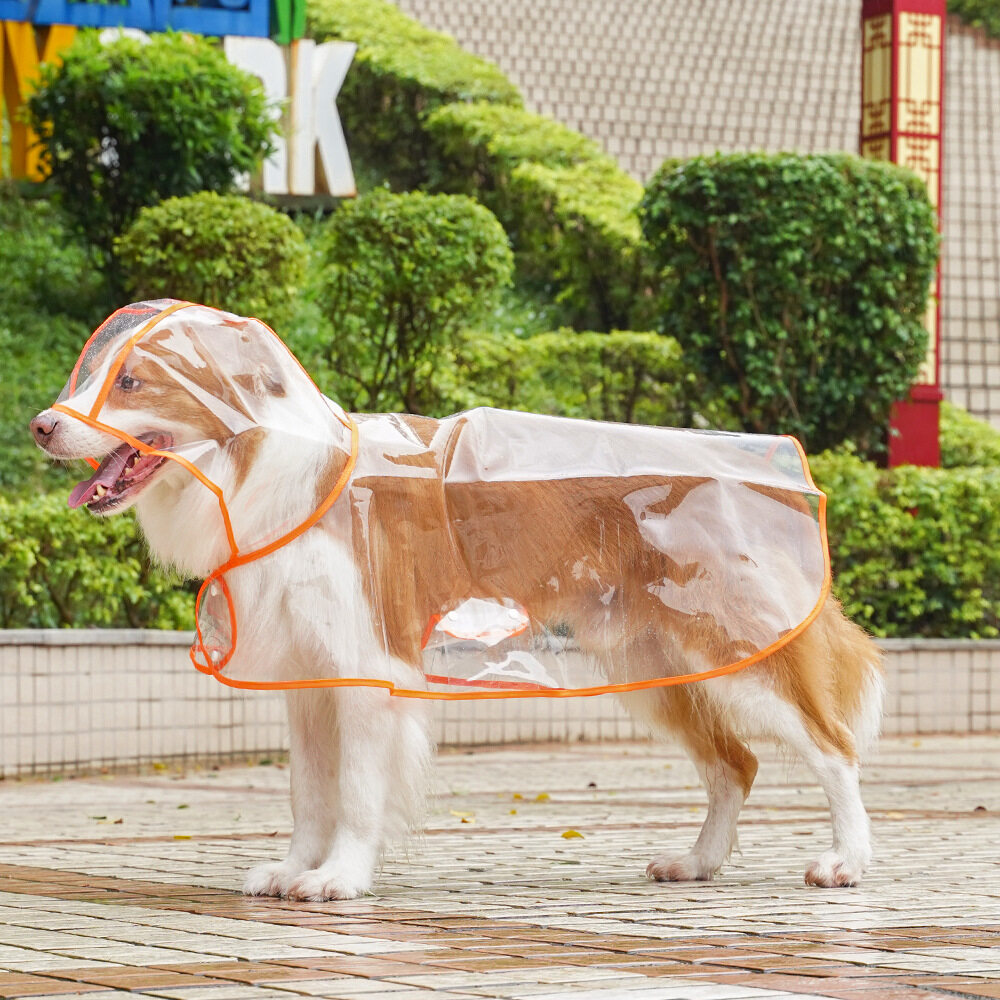 大型犬用透明雨具｜金毛・ラブラドール・ボーダーコリー・犬服・外出用|undefined
