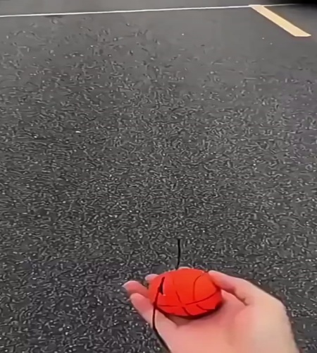 紹介動画