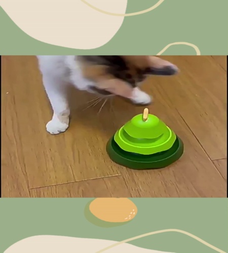 紹介動画