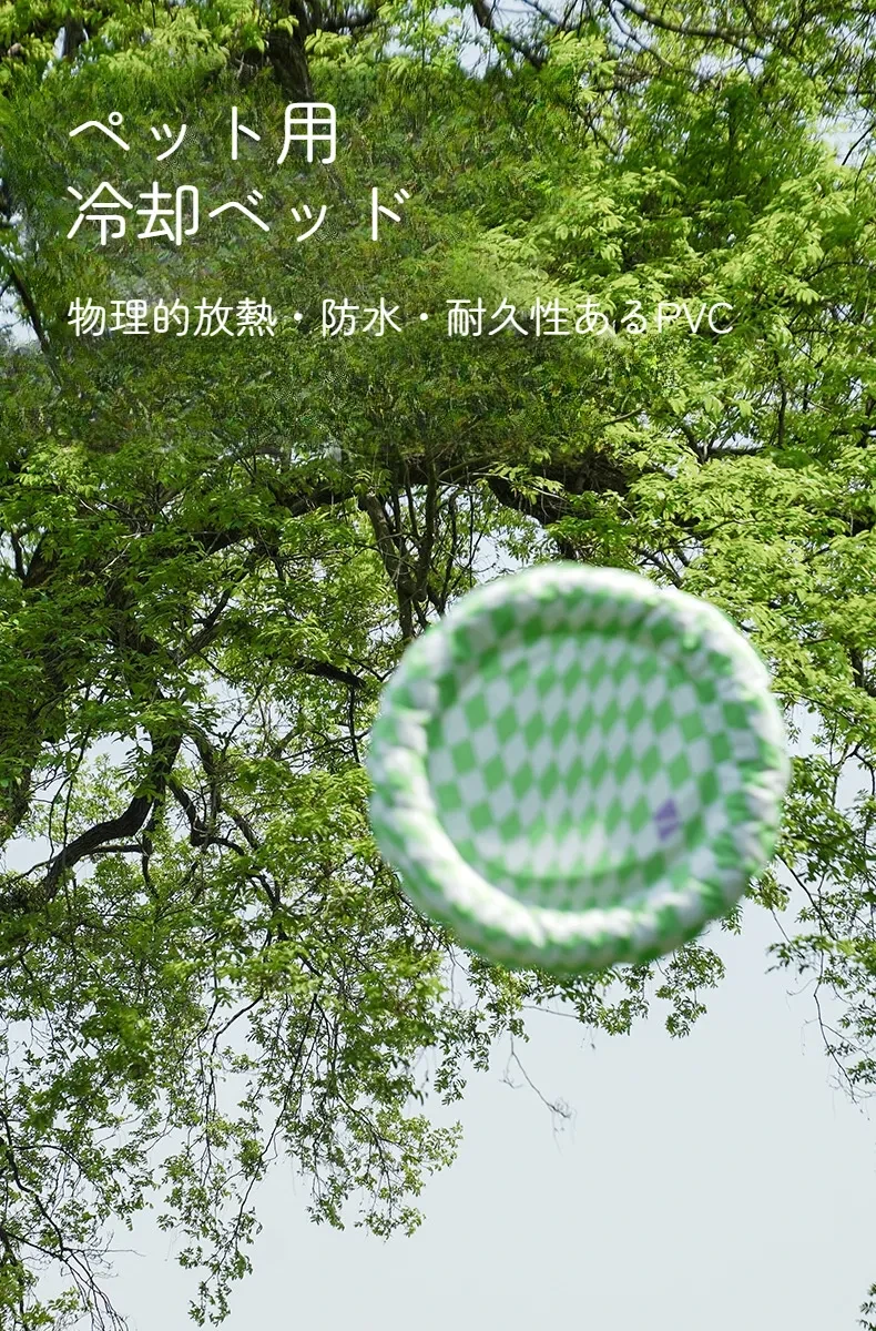 O1CN01QGFi4G1t3W9JnjQBI_!!936425846-0-cib.jpg?x-oss-process=image/format,webp