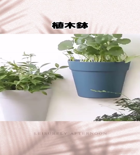 紹介動画