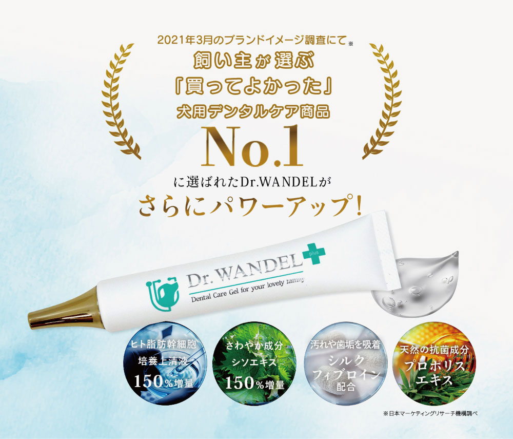 犬用デンタルケアジェル｜愛犬の歯周予防・Dr.wandel・30g(約1ヶ月分
