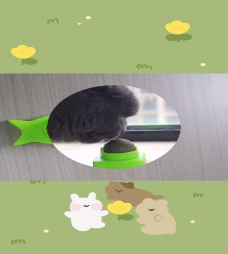 紹介動画