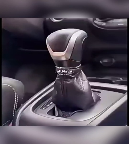 紹介動画