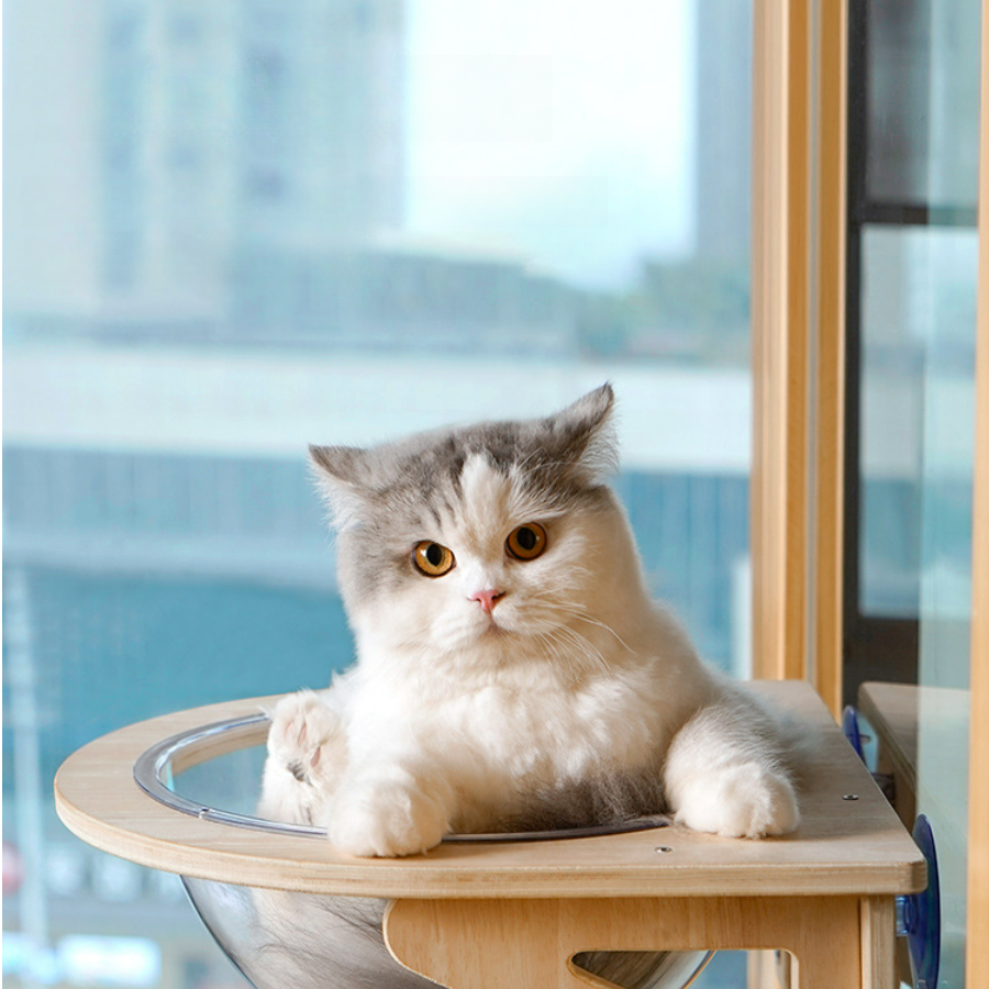 猫用ハンモック｜窓・宇宙船・吸盤式・猫 ベッド・窓・透明・猫窓ベッド・窓用猫ハンモック・猫窓|undefined