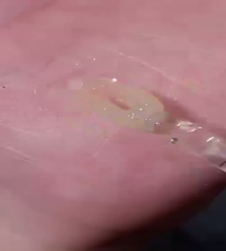 紹介動画