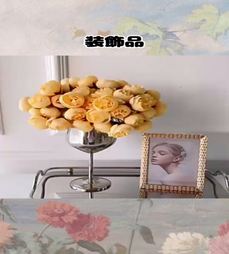 紹介動画