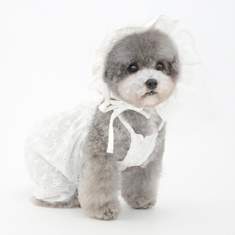 犬用服帽子｜犬用カボチャパンツ・ペット用・犬用サスペンダー・テディボーマー・春服・通気性・日焼け防止・抜け毛防止・快適|undefined